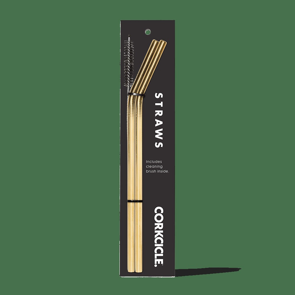 Tumbler Straw 2-Pack