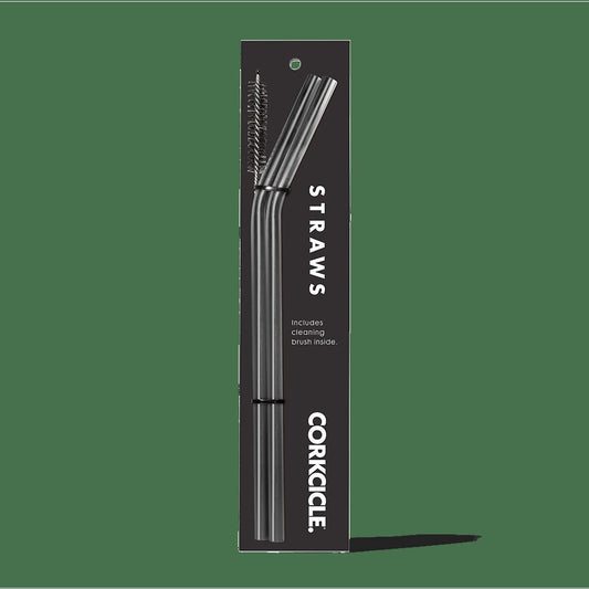 Tumbler Straw 2-Pack