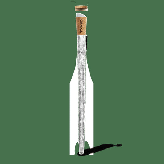 Corkcicle Air